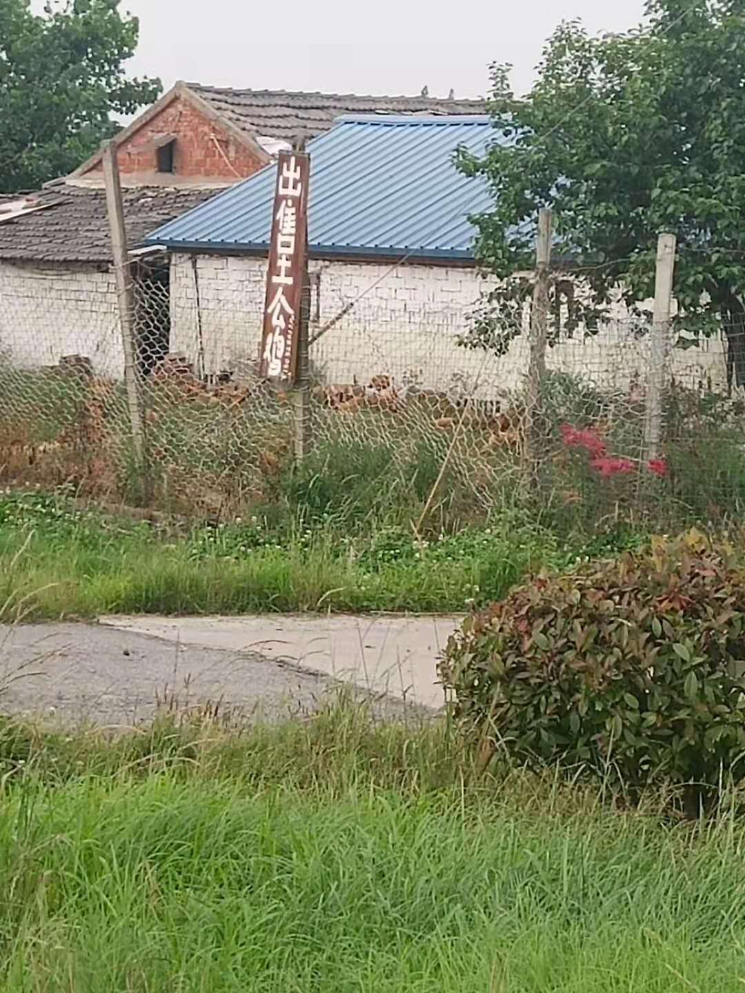 1658115687556347.jpg