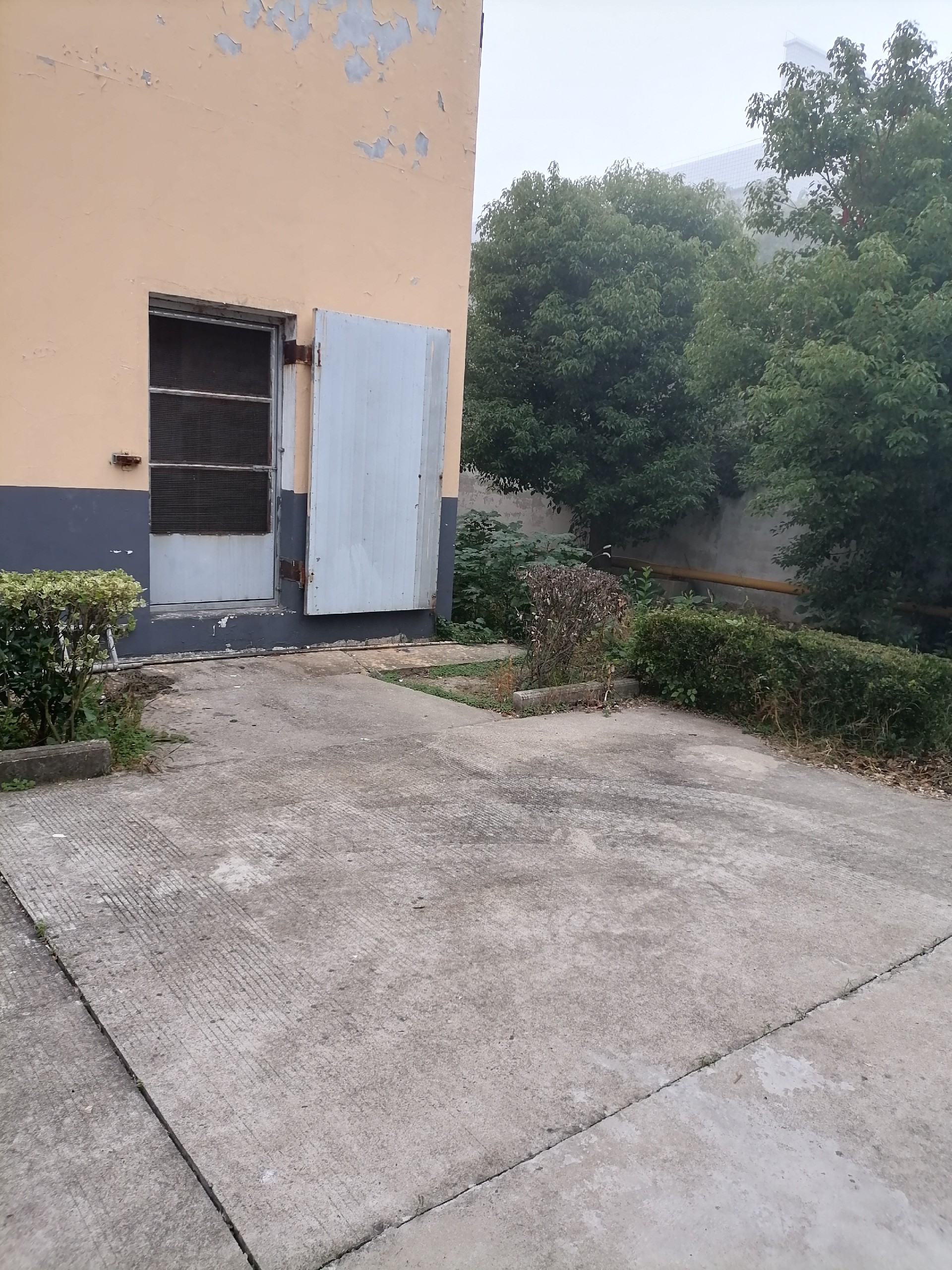 1680830510865718.jpg