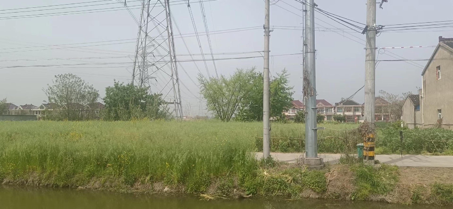 1684228682942250.jpg