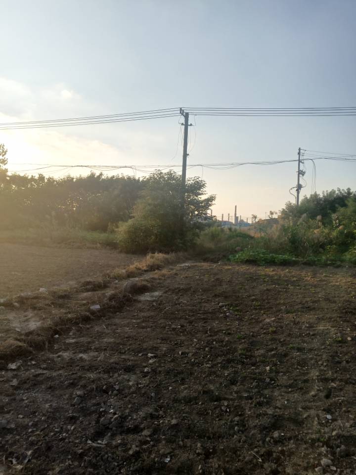 1686811221818091.jpg
